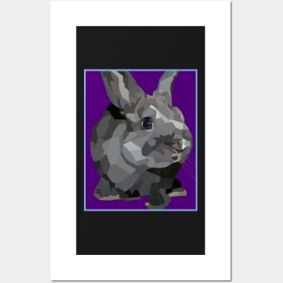 Black and Grey Bunny Rabbit Posters and Art